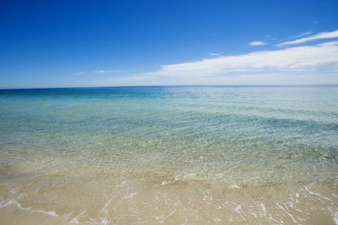 Mandalay Holiday Resort And Tourist Park - Accommodation Brunswick Heads 19
