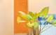 Bunbury Hotel Koombana Bay - thumb 7