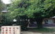 Townshend Rd - thumb 29