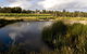 SilverSprings Spa Retreat Pet Friendly Cottages And Glampings - thumb 2