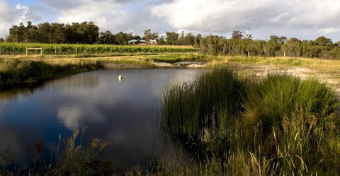 SilverSprings Spa Retreat Pet Friendly Cottages And Glampings - Accommodation Brunswick Heads 2