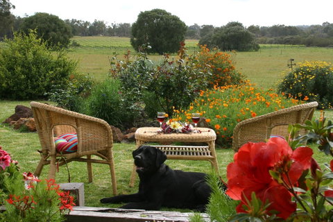 SilverSprings Spa Retreat Pet Friendly Cottages And Glampings - Accommodation Brunswick Heads 0