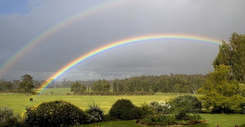 SilverSprings Spa Retreat Pet Friendly Cottages And Glampings - Accommodation Brunswick Heads 19