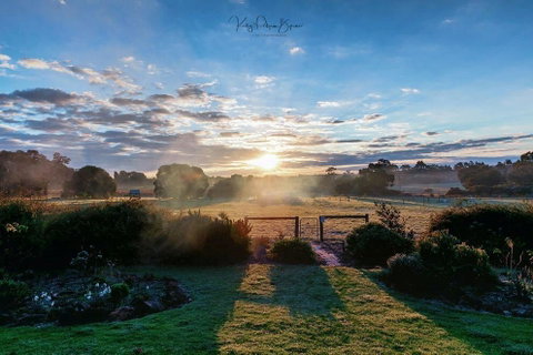 SilverSprings Spa Retreat Pet Friendly Cottages And Glampings - Accommodation Brunswick Heads 26