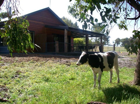 SilverSprings Spa Retreat Pet Friendly Cottages And Glampings - Accommodation Brunswick Heads 23