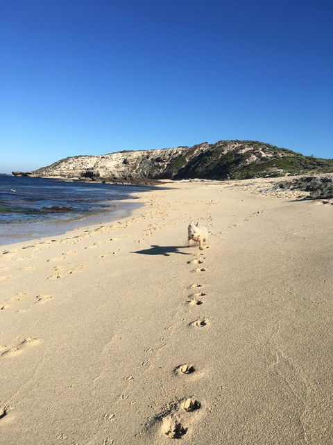 Aquatic Visions - Accommodation Brunswick Heads 36