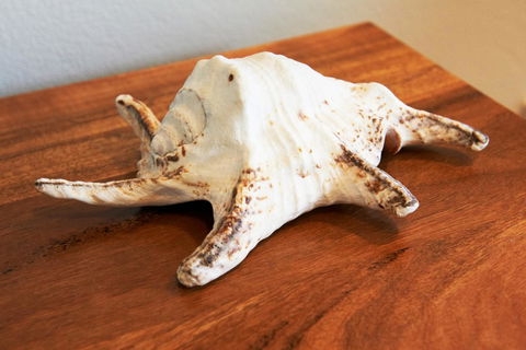 Aquatic Visions - Accommodation Brunswick Heads 40