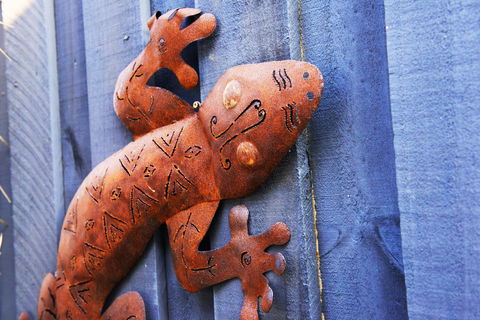 Aquatic Visions - Accommodation Brunswick Heads 38