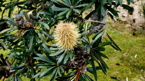 43 Degrees Bruny Island - Accommodation Brunswick Heads 11