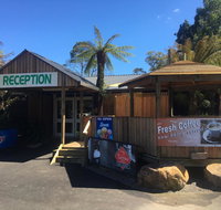 Tullah Lakeside Lodge - Accommodation Brunswick Heads