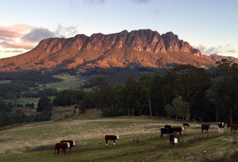 Manna Hill Farm - Accommodation Brunswick Heads 10