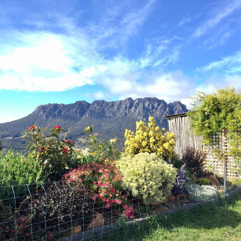 Manna Hill Farm - Accommodation Brunswick Heads 1