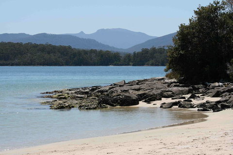 Driftwood - Accommodation Brunswick Heads 14