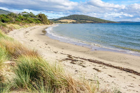 Omaroo Cottage Bruny Island - Accommodation Brunswick Heads 14