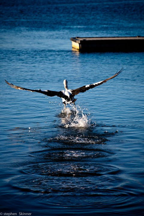 The Waterfront Wynyard - Accommodation Brunswick Heads 17