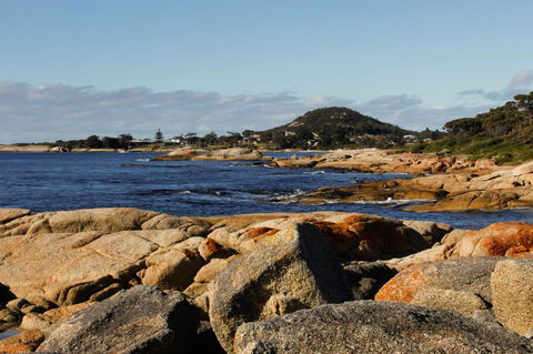 Mermaids Of Bicheno - Accommodation Brunswick Heads 15