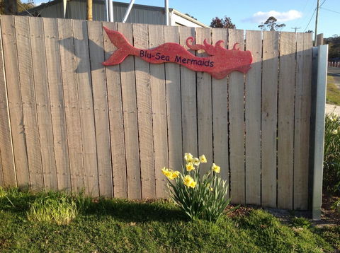 Mermaids Of Bicheno - Accommodation Brunswick Heads 17