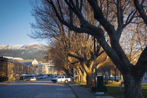 Salamanca Suites - Accommodation Brunswick Heads 10