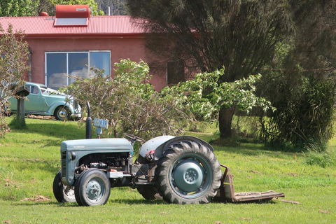 Cherry Top Farmstay - Boutique Eco Village - Accommodation Brunswick Heads 25