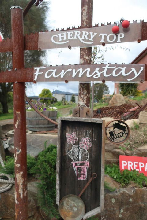 Cherry Top Farmstay - Boutique Eco Village - Accommodation Brunswick Heads 5