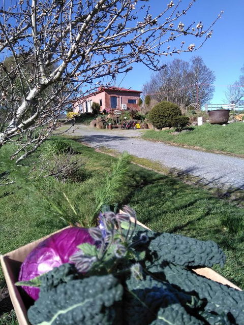 Cherry Top Farmstay - Boutique Eco Village - Accommodation Brunswick Heads 23