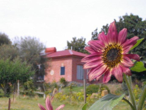 Cherry Top Farmstay - Boutique Eco Village - Accommodation Brunswick Heads 27