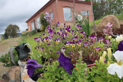 Cherry Top Farmstay - Boutique Eco Village - Accommodation Brunswick Heads 7
