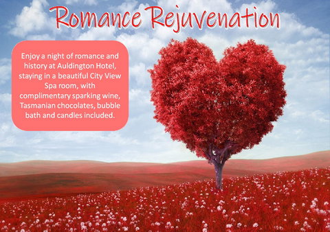 Auldington Hotel - Accommodation Brunswick Heads 6