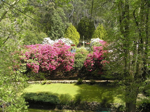 Auldington Hotel - Accommodation Brunswick Heads 23