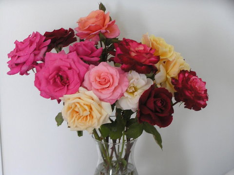 Auldington Hotel - Accommodation Brunswick Heads 30