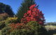 Highgrove - thumb 22