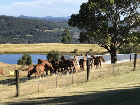 Highgrove - Accommodation Brunswick Heads 25
