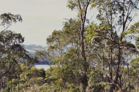Oyster Cove Chalet - Accommodation Brunswick Heads 17