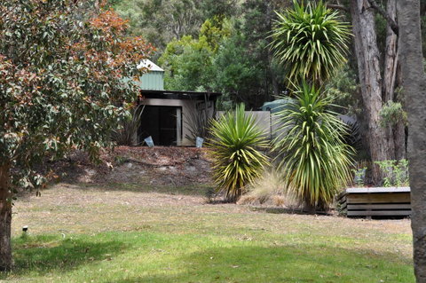 Oyster Cove Chalet - Accommodation Brunswick Heads 21