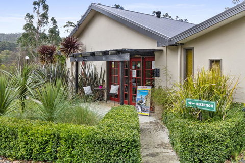 Oyster Cove Chalet - Accommodation Brunswick Heads 13