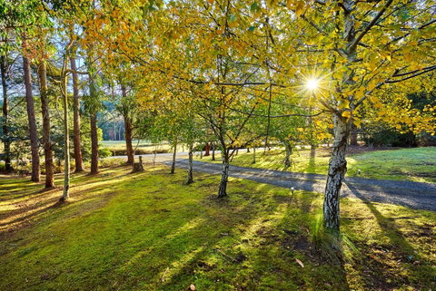 Oyster Cove Chalet - Accommodation Brunswick Heads 1