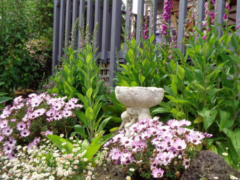 Post House Cottage - Accommodation Brunswick Heads 19