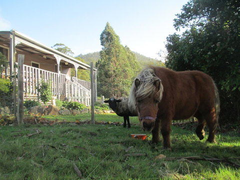 Post House Cottage - Accommodation Brunswick Heads 3