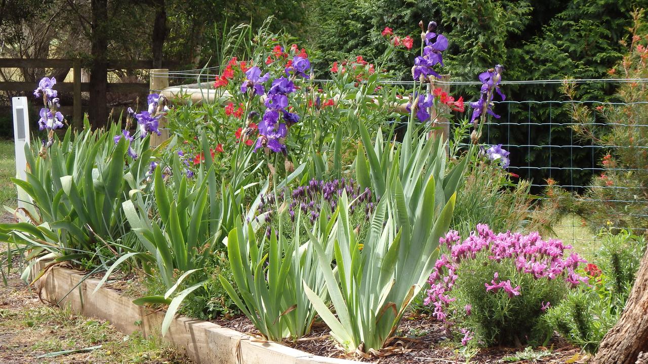  Accommodation Brunswick Heads