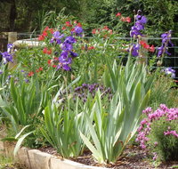 Karoola Cottage Self Contained - Accommodation Brunswick Heads