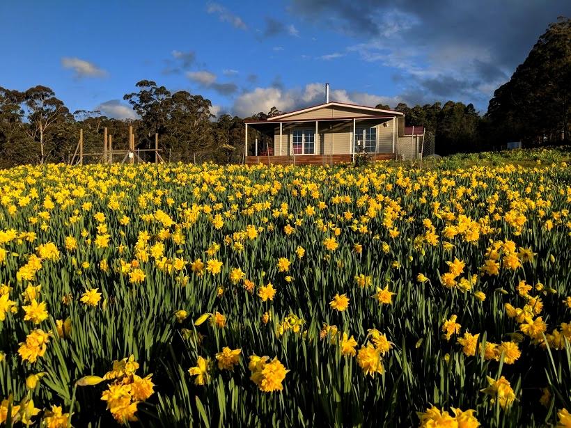 Golden Valley TAS Accommodation Brunswick Heads
