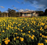 Mountain Blue Guest House - Accommodation Brunswick Heads