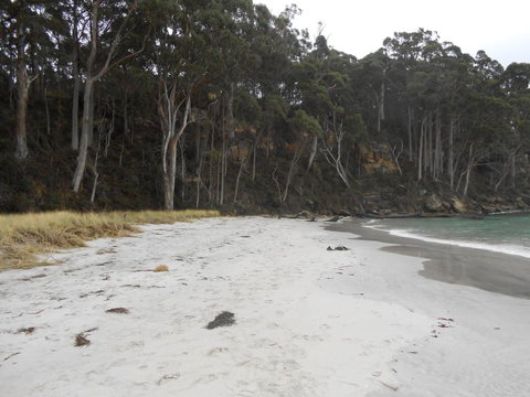 Bruny Ocean Cottage - Accommodation Brunswick Heads 12