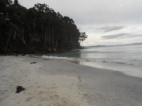 Bruny Ocean Cottage - Accommodation Brunswick Heads 17