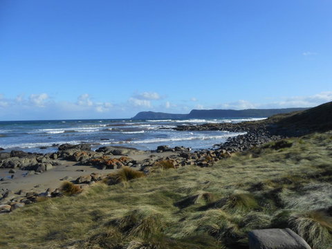 Bruny Ocean Cottage - Accommodation Brunswick Heads 15