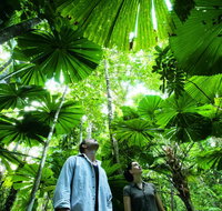 NRMA Cairns Holiday Park - Accommodation Brunswick Heads