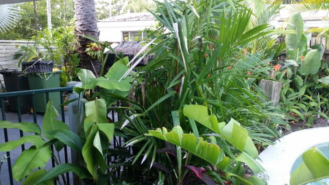 Oasis On Nautilus - Accommodation Brunswick Heads 3