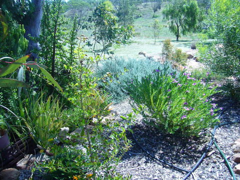 Old Miners' Cottages Bed And Breakfast - Accommodation Brunswick Heads 0