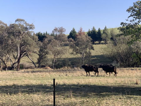 OConnell Retreat BnB - Accommodation Brunswick Heads 1