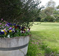 Padthaway Caravan Park - Accommodation Brunswick Heads